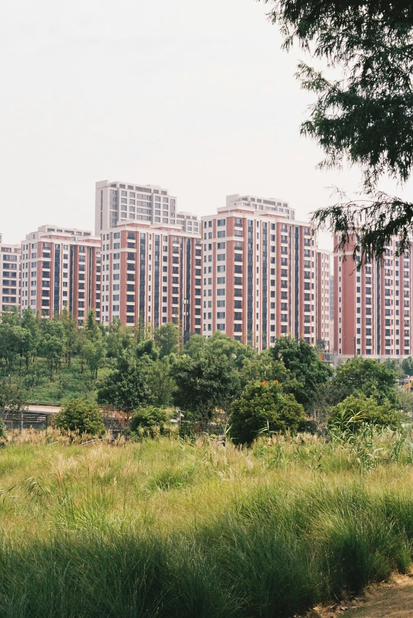 住宅小区楼群